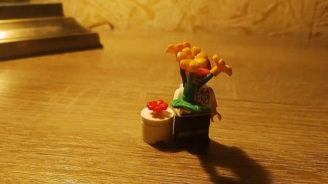 ЛЕГО САМОДЕЛКА ПОДАРОК смотреть онлайн