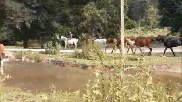 80 летие БМТ, 2024г смотреть онлайн