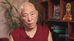 Документальный фильм 
ОКЕАН, ЯРМО И ЧЕРЕПАХА