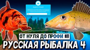 RF4 ТУР МЕДНОЕ, ПОКУПКА СНАСТЕЙ, АПП ЛВЛ И НАВЫКОВ, ПЛАНЫ #рр4