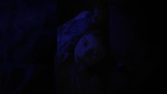 привет малыш хаха смотреть онлайн
