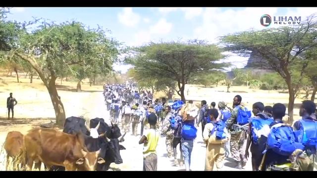 Haftu Haileselassie (Nihnbeb Alena) ሃፍቱ ሃ/ስላሴ (ንሕንበብለና) Tigray Music (Official Video) смотреть онлайн