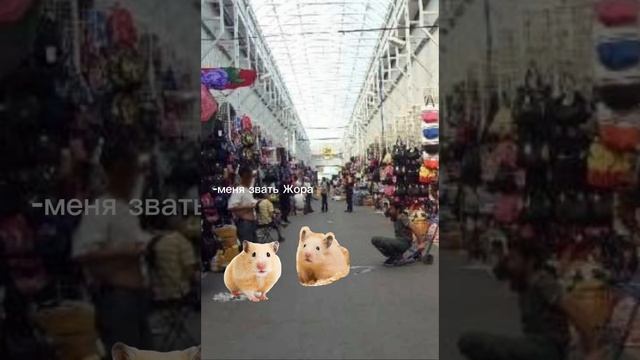 Фильм про хомяка ( часть1) смотреть онлайн