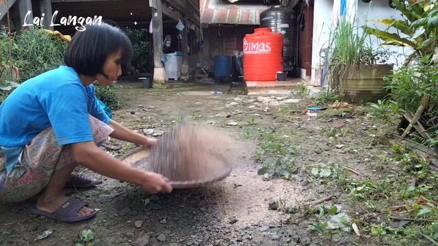 Menumbuk padi secara tradisional - Kehidupan pedesaan yang tentram dan damai смотреть онлайн