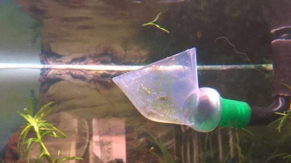 Eheim Flow Pipe, Lily Pipe, Strömungsglocke. Eheim Proxima 250 classic led