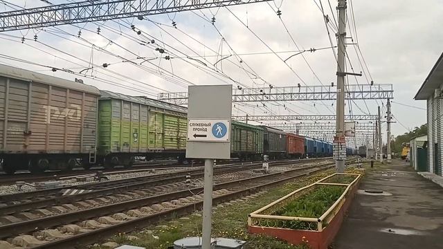 2ЭС6-115 С разношёрстным составом смотреть онлайн
