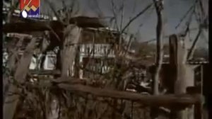 ФИЛМИ ТАРБИЯВИ