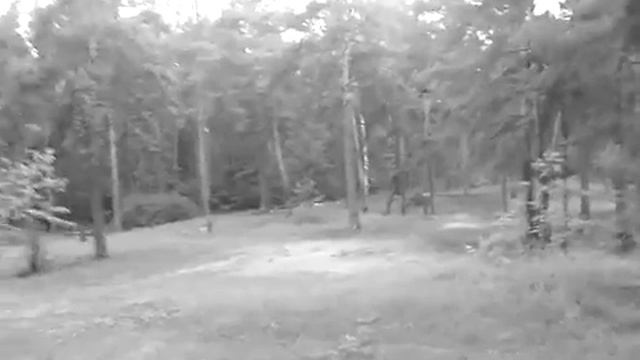 Г Лыткарино 2016 . Волкуша. Грязь. Бардак. Позор. смотреть онлайн