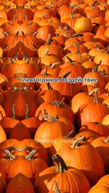 ПОЛЬЗА СЕМЯН ТЫКВЫ смотреть онлайн