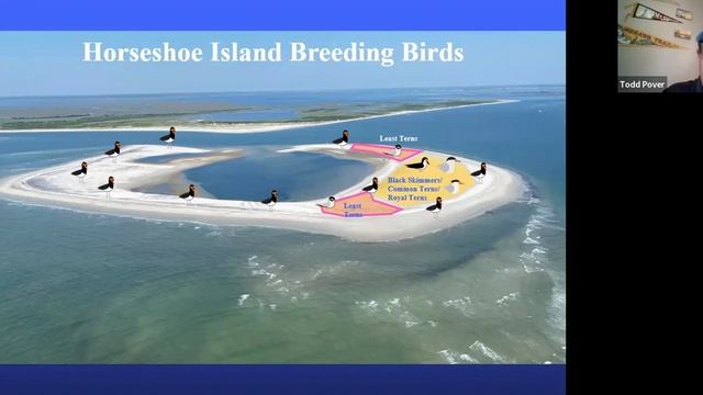 Horseshoe Island presented by Todd Pover смотреть онлайн