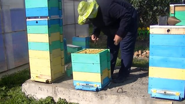 УДАВ ПРЕДВОРИТЕЛЬНАЯ СБОРКА НА ЗИМУ смотреть онлайн