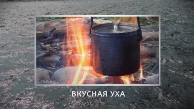 Бельсу 2017 смотреть онлайн