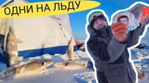 ОДНИ НА ЛЬДУ! РЫБАЛКА С НОЧЁВКОЙ!  ГИГАНТЫ р.ПЕЧОРА НЕ СПЯТ В ШТОРМОВУЮ ПОГОДУ