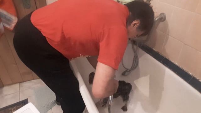 Маруся готовится к 8 Марта. Предпраздничное купание. смотреть онлайн