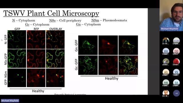 MGBS 2023- A Field and Molecular Approach to Understanding Alabama Legume Viruses- Mr.Mayfield's смотреть онлайн