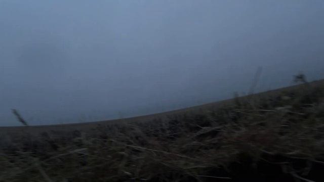 Отличный налет стаи гусей. Охота в на гуся в Казахстане. смотреть онлайн