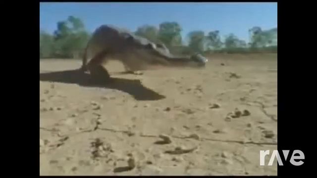 Interior Tick Tock Crocodile Alligator Version 2 смотреть онлайн