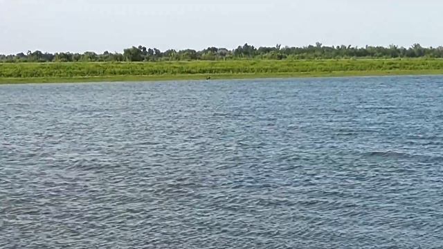 Пара каждому нужна! смотреть онлайн