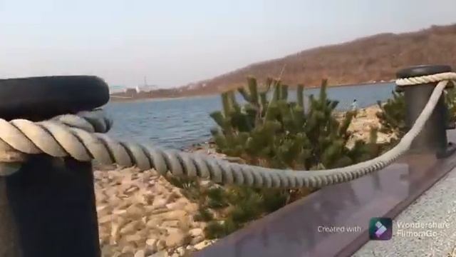 Ролик от соотечественника из города Владивосток и города Уссурийска смотреть онлайн