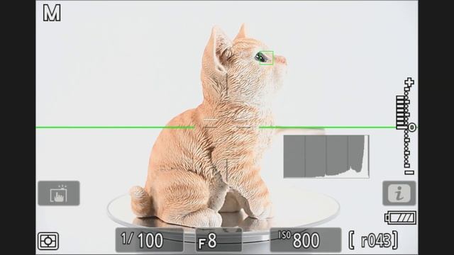 Nikon Z f Animal Detection AF Part 2 смотреть онлайн