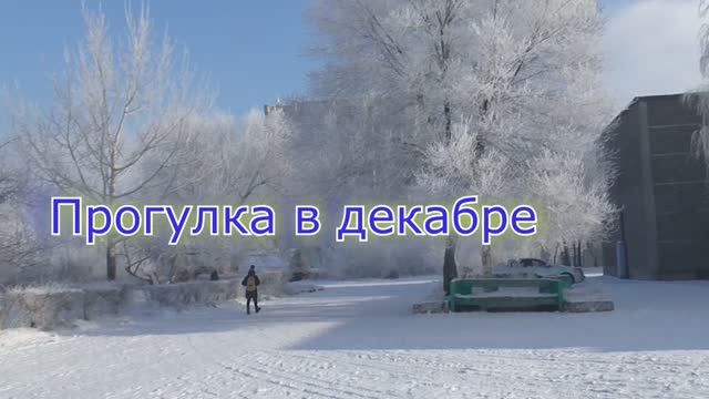 Прогулка в зимний день...Музыка Вадима Гурьева смотреть онлайн