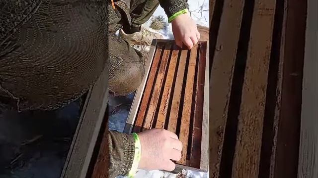 роиловство в феврале смотреть онлайн