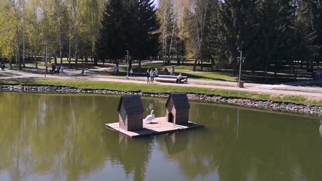 Странный май 2020. Утят🐣🦆🦆 вывели на Каскад. Вкусный пломбир🍧 смотреть онлайн