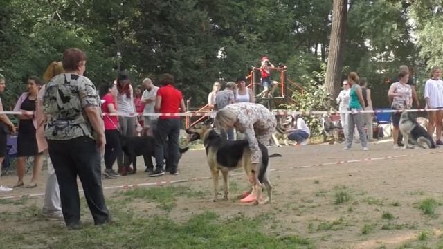 Кассиопея смотреть онлайн