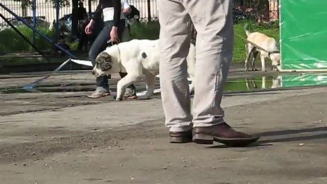 Редже и Горжусь Тобой Рухмана. смотреть онлайн