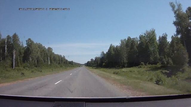 Лось на дороге (лесхоз, сабинский р-н, мелко) смотреть онлайн