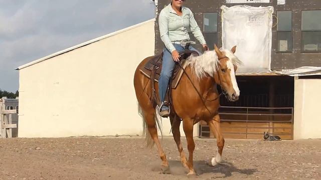 Jamie Lena Bar - lope right, stop, lope left - Valley View Ranch смотреть онлайн