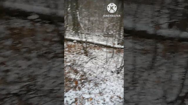 красивые подснежники в ноябре смотреть онлайн