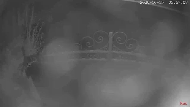 появился на нашей улице вор. смотреть онлайн