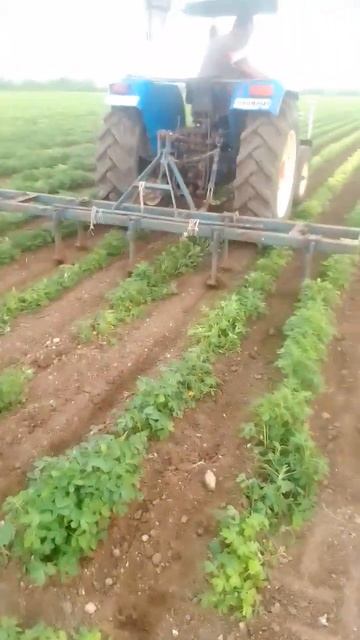 🚜🚜🌾🌾🥜🥜 смотреть онлайн