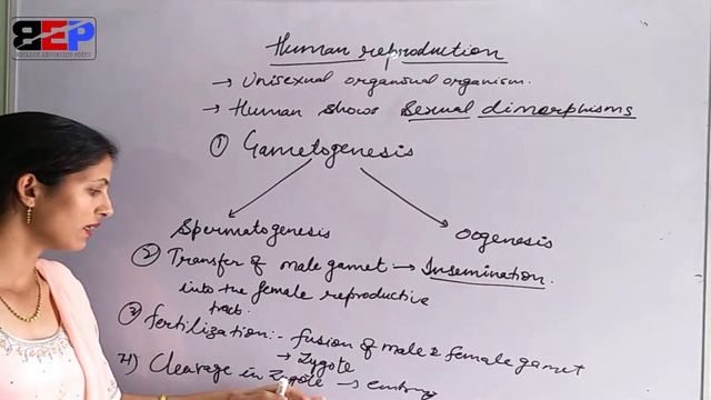 Introduction #humanreproduction #human reproduction #bep #suman смотреть онлайн