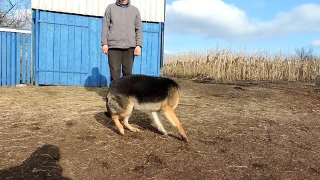 Грета,10 місяців смотреть онлайн
