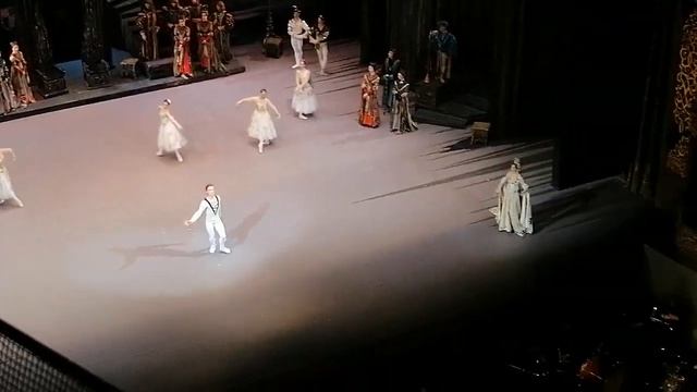 Лебединое озеро 28 мая 2024 смотреть онлайн