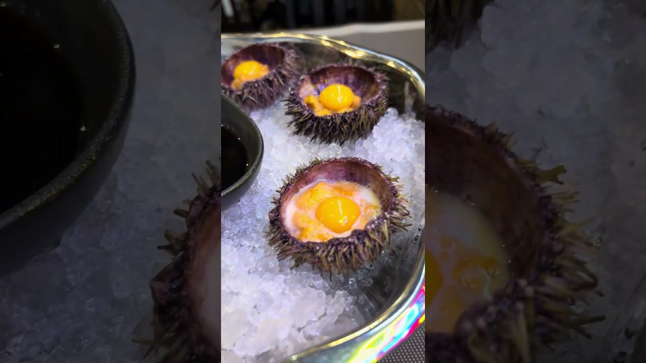 Поступление морского ежа #forelperm