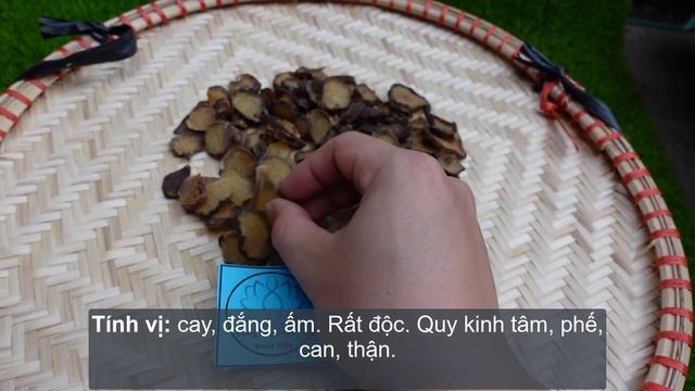 PHỤ TỬ : Vị thuốc trị bệnh hay nhưng có độc смотреть онлайн
