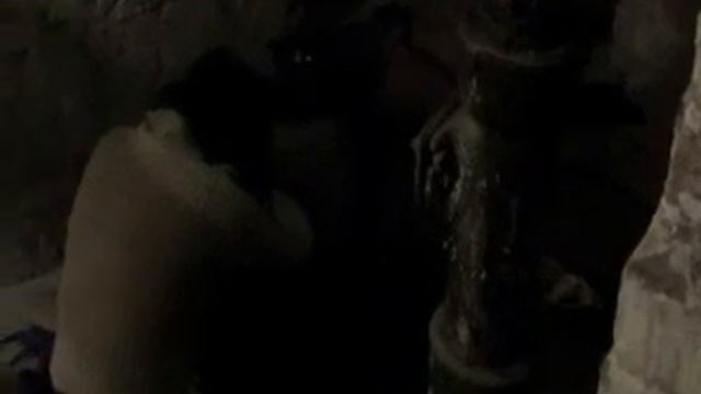 НАШ ШКОЛЬНЫЙ ПРОЕКТ смотреть онлайн
