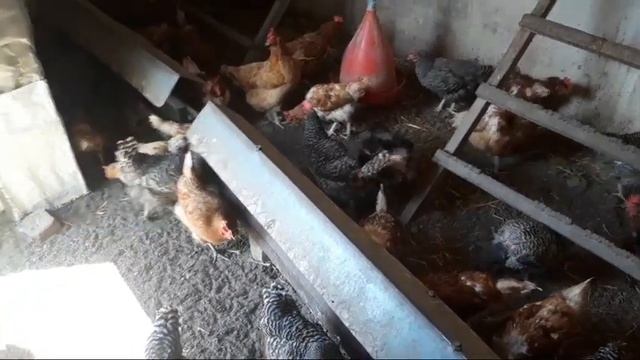 Ось, якось так! смотреть онлайн