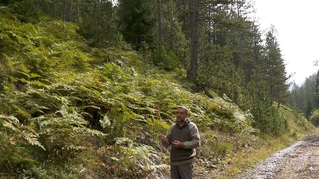 Sačuvajmo Pančićevu omoriku смотреть онлайн