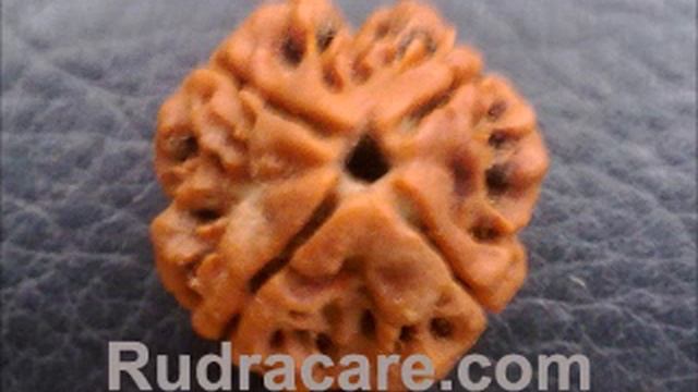 Char Mukhi (face) Rudraksha mantra.wmv смотреть онлайн