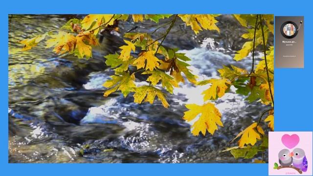 Инструментальная музыка.Релаксация.