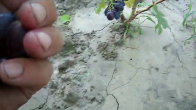 Императрица смотреть онлайн