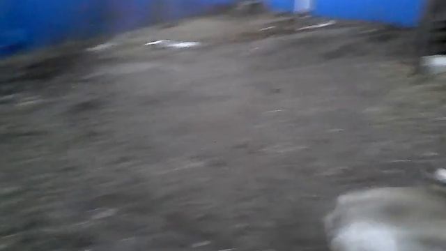 30 марта 2016 г. смотреть онлайн