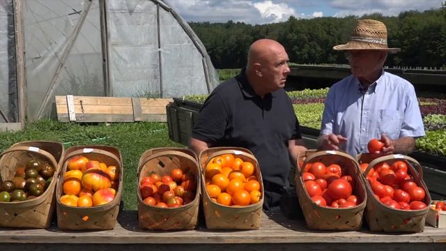 The Chefs' Table Series Farm to Table Tip Tomatoes смотреть онлайн