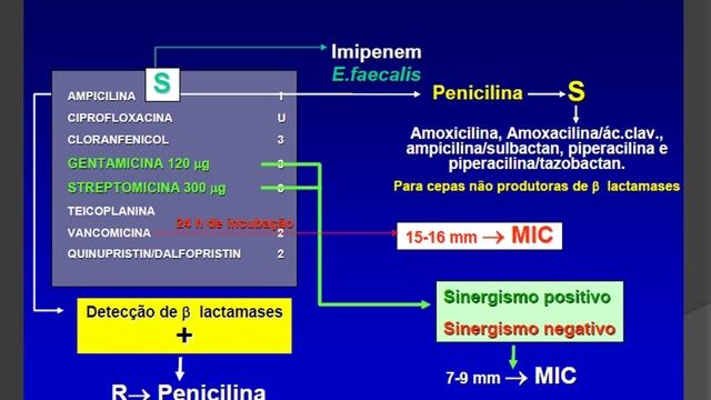 Interpretação do Antibiograma na Prática Cínica смотреть онлайн