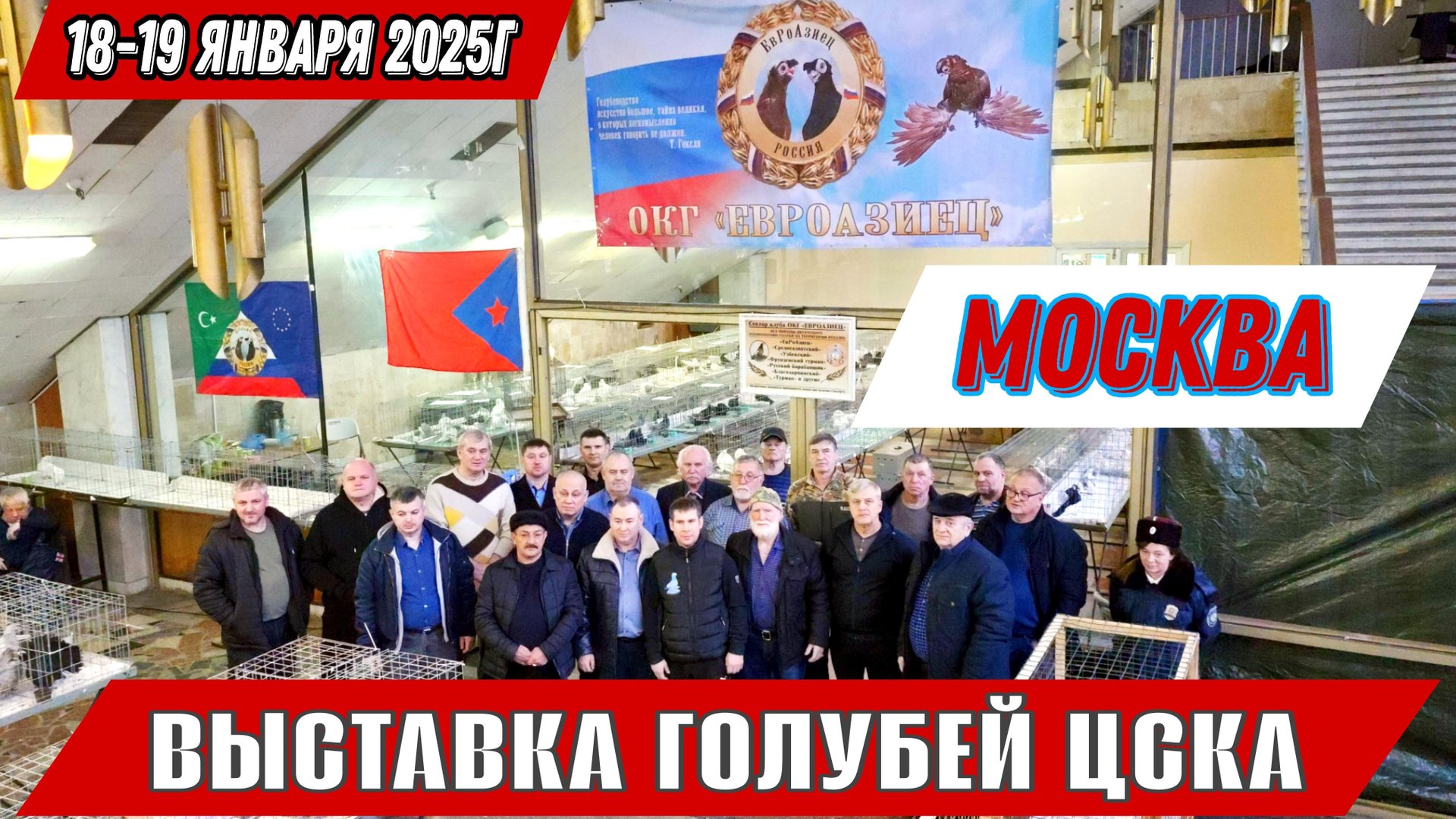В ЧЁМ ОТЛИЧИЕ УЗБЕКСКОГО ГОЛУБЯ ОТ ЕВРОАЗИЙЦА?МЕЖДУНАРОДНАЯ ВЫСТАВКА ГОЛУБЕЙ МОСКВА ЦСКА 18.01.25г. смотреть онлайн