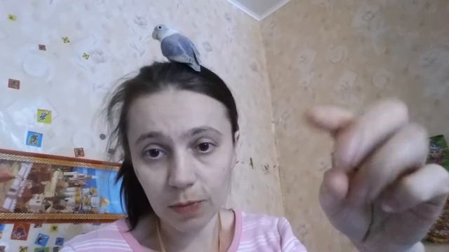 Так,дополнение. смотреть онлайн